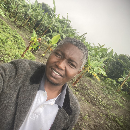 Ibrahim A. profile photo
