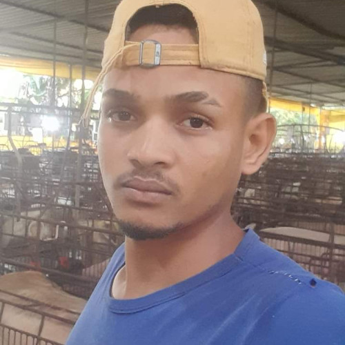 Weverton  C. profile photo