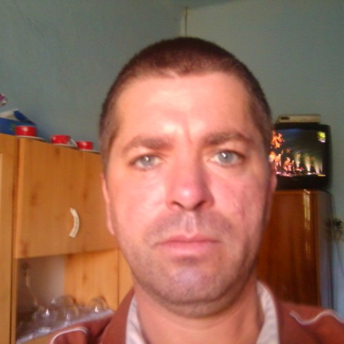 Tamás H. profile photo