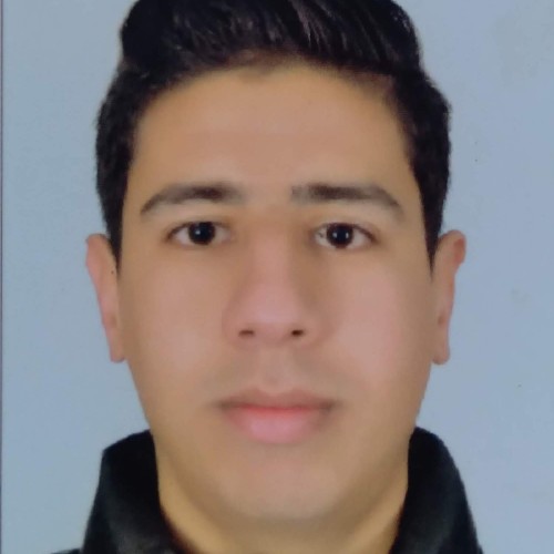 Mehdi A.