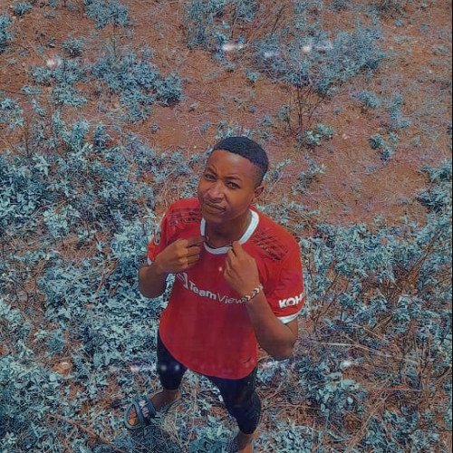 Joe M. profile photo