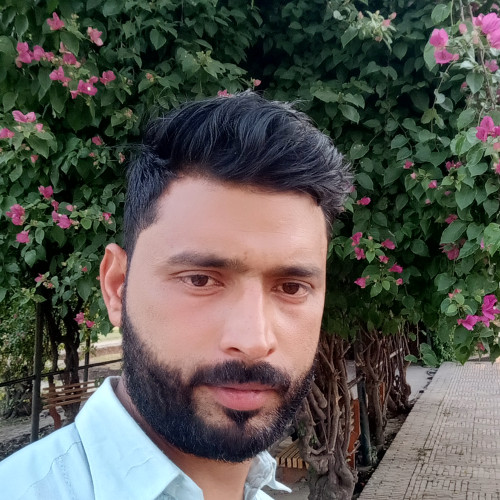 Muhammad A. profile photo