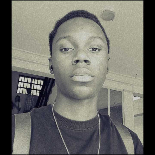 David S. profile photo