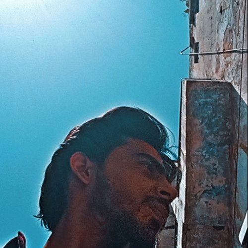 Monis K. profile photo