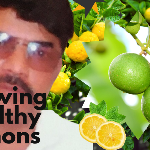 JOGINDER P. profile photo
