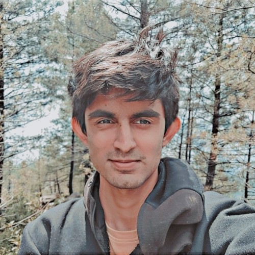 Moeez A.
