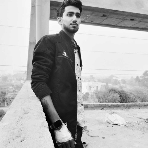veer s.