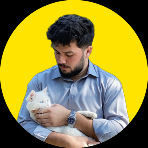 Ali  i. profile photo