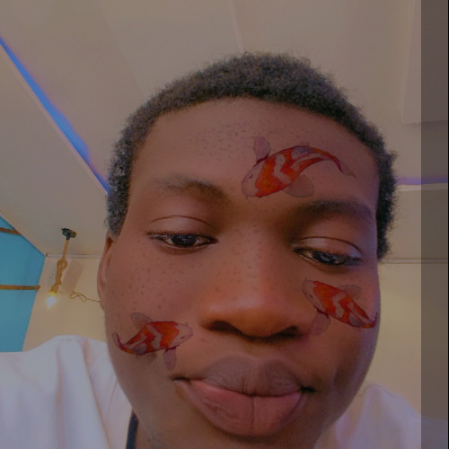 Omololade A. profile photo