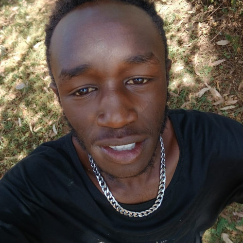 Elvis K. profile photo