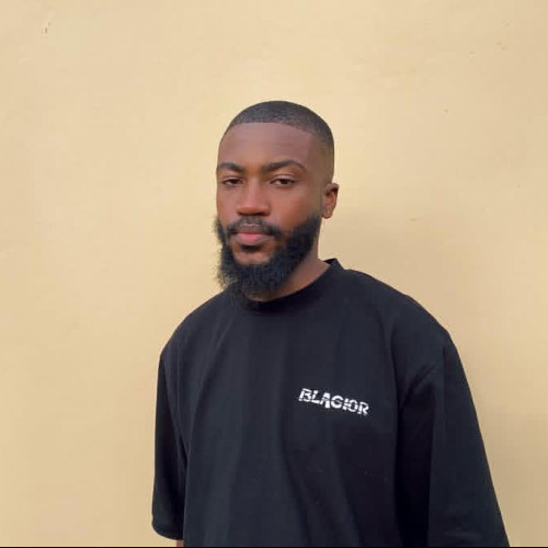 Chidiebere  E. profile photo