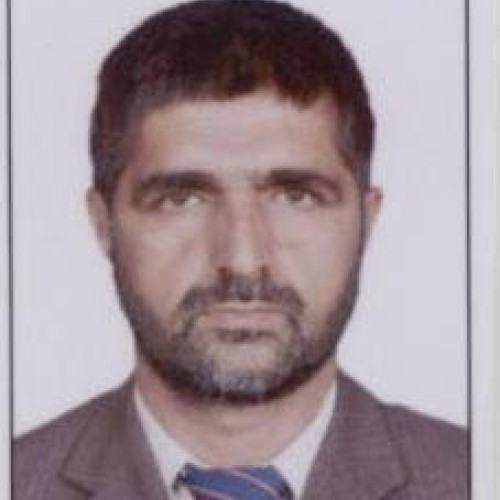 Business L. profile photo
