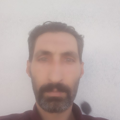 Mostafa  P.