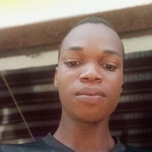 Oghenekaro U. profile photo