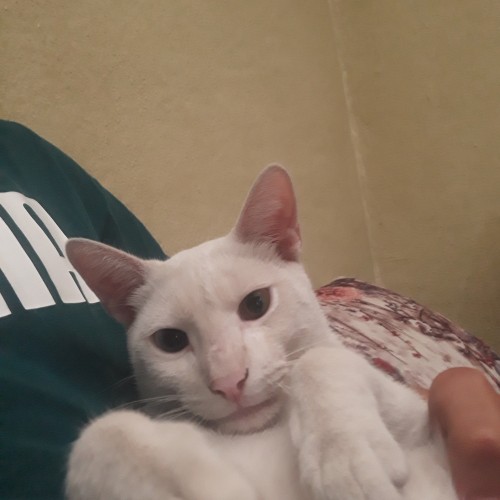 OUSSAMA O. profile photo