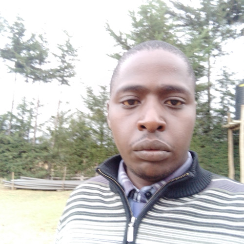 Kevin K. profile photo