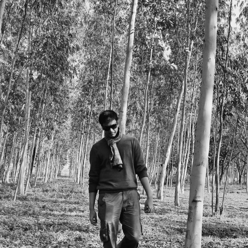Arreyan H. profile photo