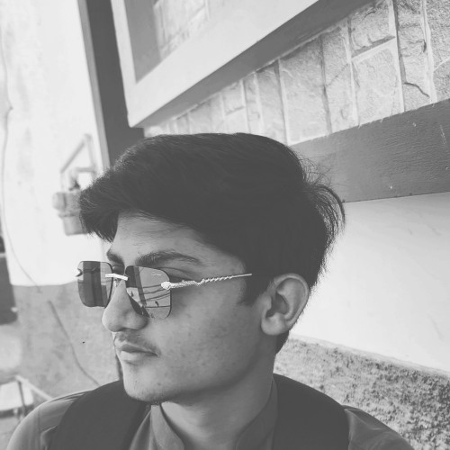 Kashan Ali S.