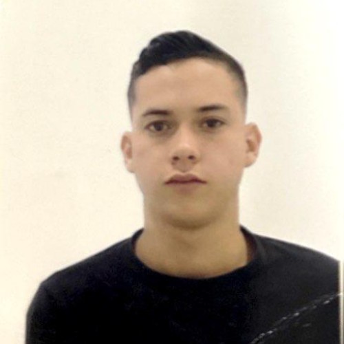 andrius jhondainer l.