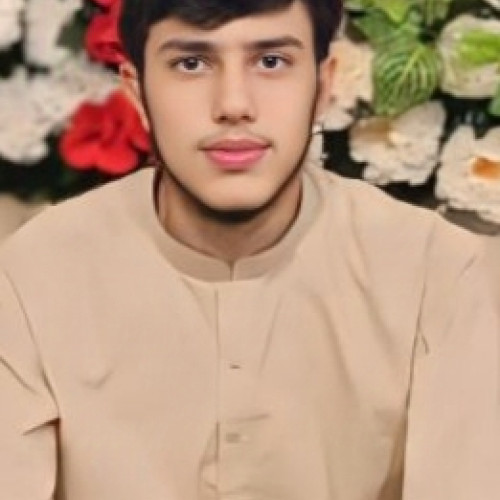 Abdul M. profile photo