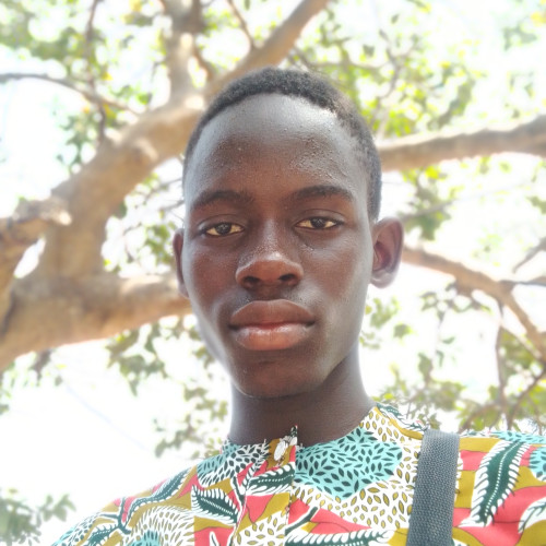 Vifa P. profile photo