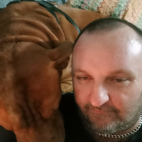 Troy K. profile photo