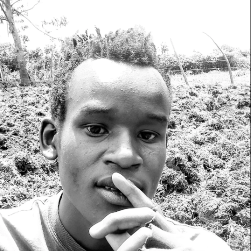 Denis k. profile photo