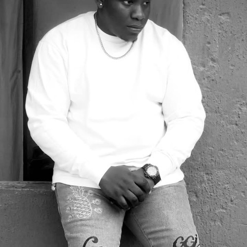 Chimezie  N. profile photo
