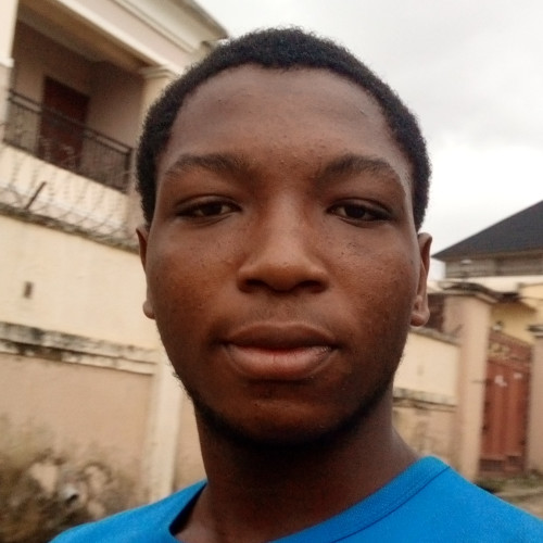 Abiola O. profile photo