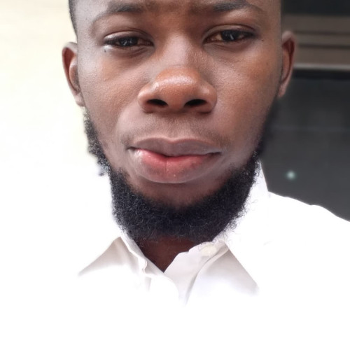 Olatoke O. profile photo