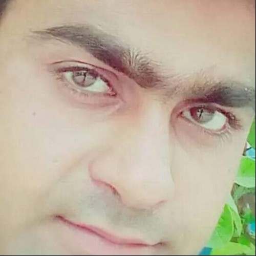 Talha S.