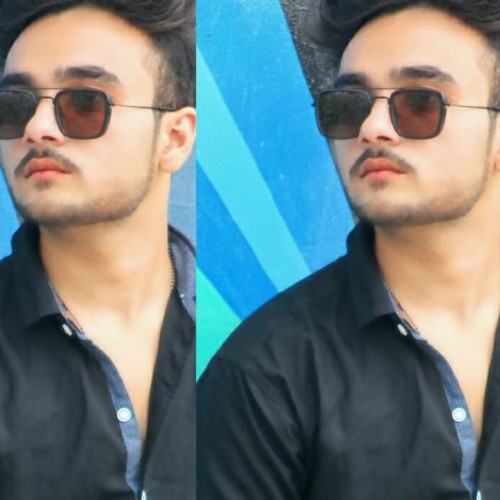 shahzaib s.