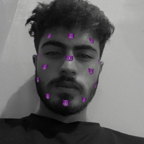 Raja Owais  L. profile photo