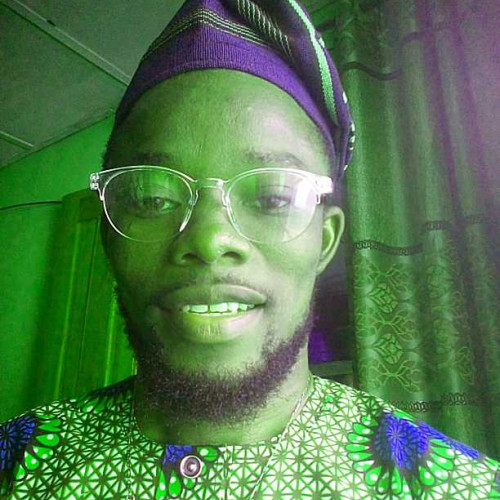 ugochukwu u.