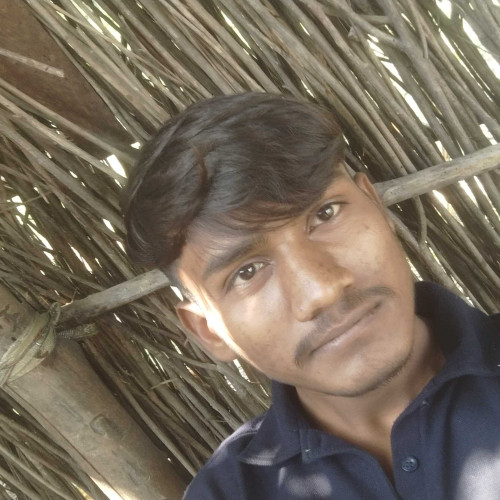 Shailesh R. profile photo
