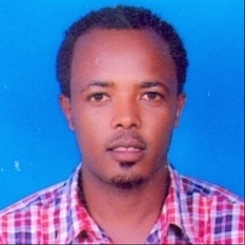 Tesfaye D.