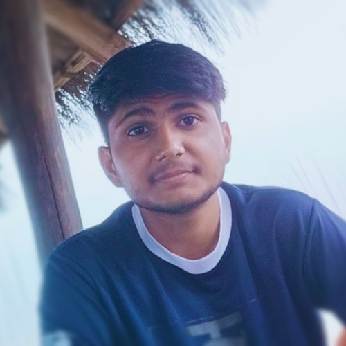 Priyanshu P. profile photo