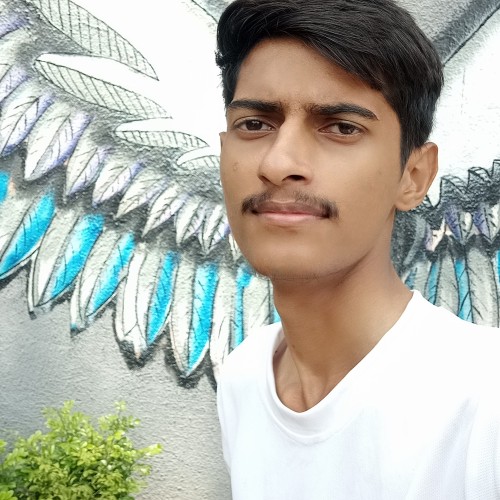 Rohit P.
