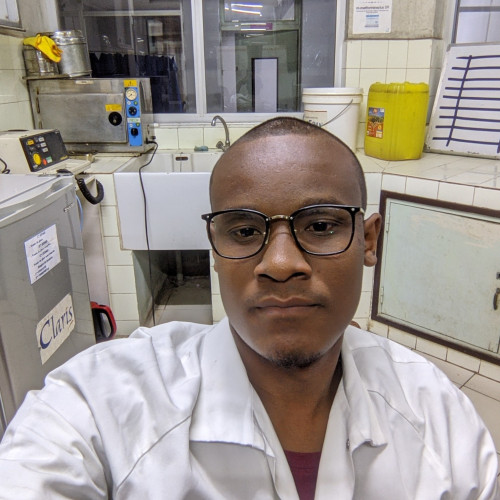 Bruno D. profile photo