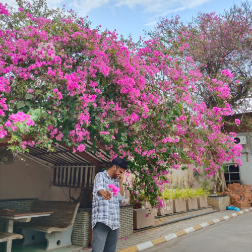 Vamshi K. profile photo