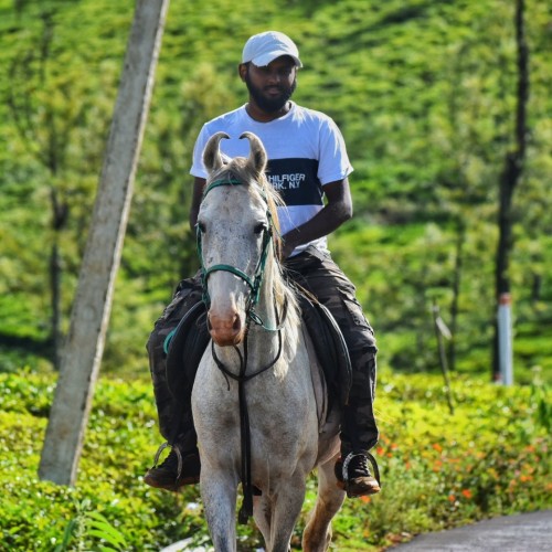 Vishal  V.