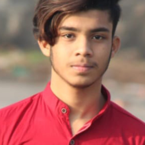 Mujtaba  M. profile photo