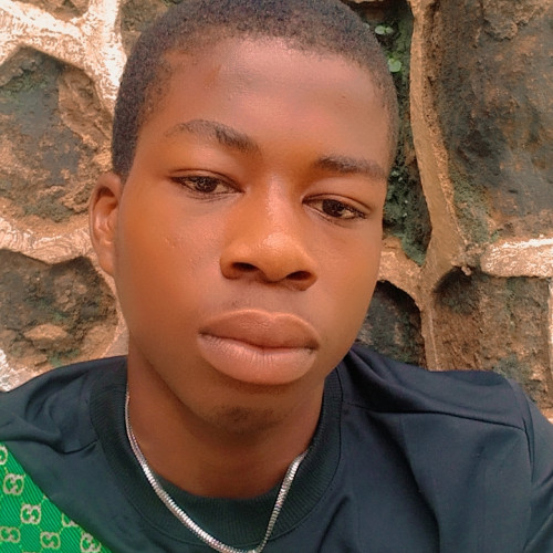 Preshi  P. profile photo