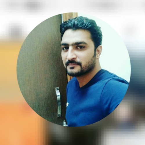 Bhupendra  S.