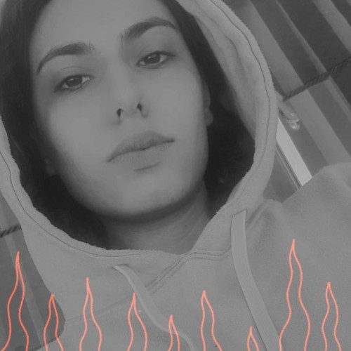 negin m.