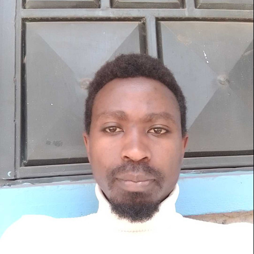 Ismael N. profile photo
