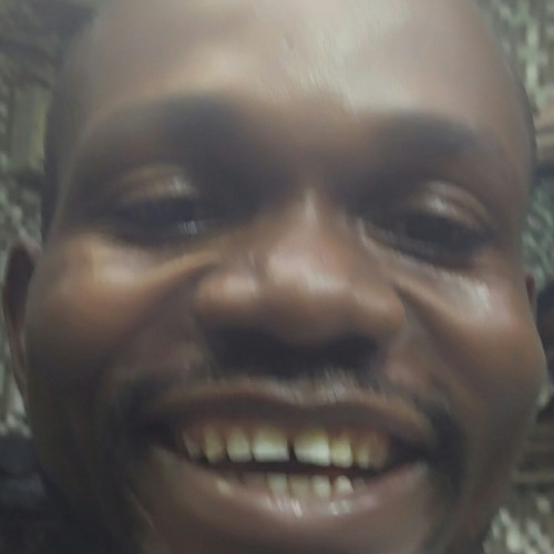 Daniel D. profile photo
