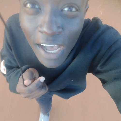 Vish K. profile photo