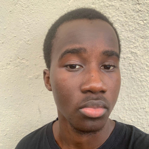 Steven M. profile photo