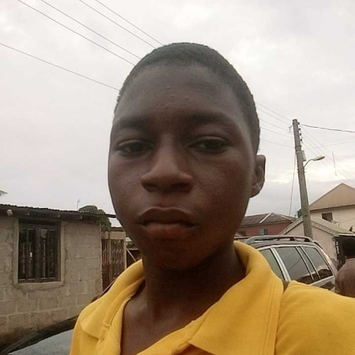 papilo 0. profile photo
